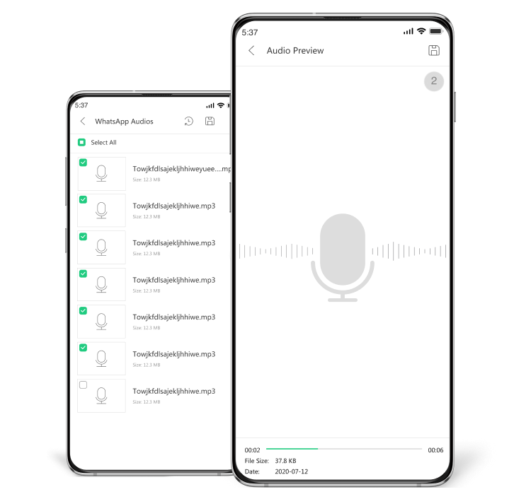 Recover Audio