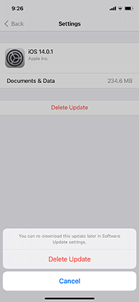 elimina l'aggiornamento di iOS 17/16.5