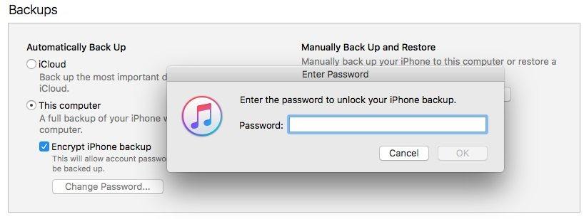 enter the password to unlock ios 12 backup